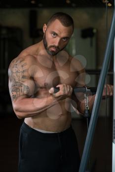 Big Tattooed Man In The Gym Is Exercising Biceps On Machine - Muscular Athletic Bodybuilder Model Exercise In Fitness Center