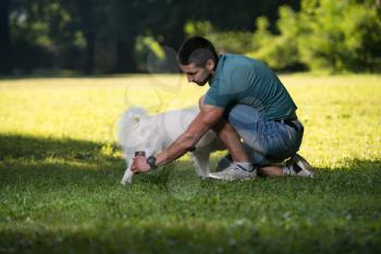 Young Man Sitting With Dog German Spitz In Park - He Cleans Him