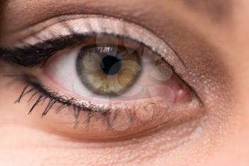 Close Up Of An Muslim Woman Eye