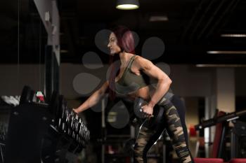 Athlete Working Out Back In A Gym With Dumbbells