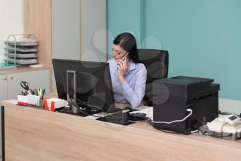 Young Businesswoman Working At Her Computer While Talking On The Phone