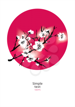 Sakura in the red circle