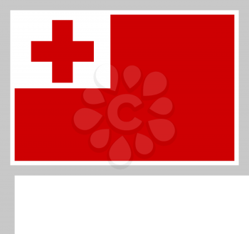 Tonga flag on flagpole, rectangular shape icon on white background, vector illustration.