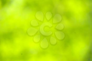 Royalty Free Photo of a Green Background