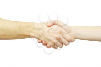 Royalty Free Photo of a Handshake
