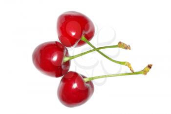 Royalty Free Photo of Cherries