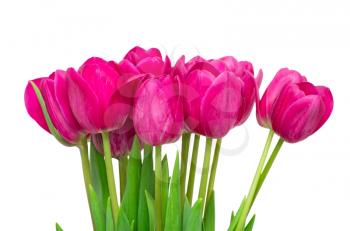 Bouquet from tulips flowers isolated on white 