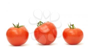 tomato isolated over white background
