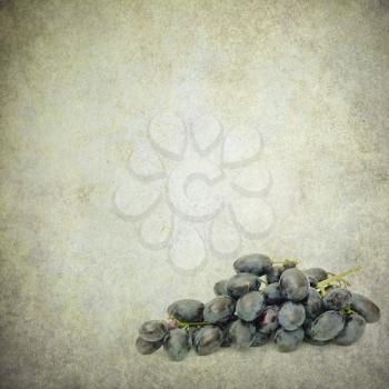  blue grapes isolated on retro background