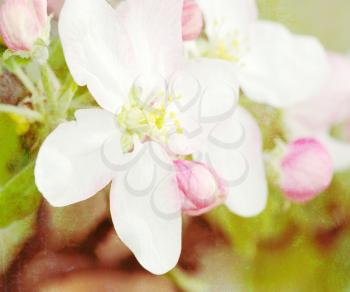 Beautiful defocus blur retro background with flowers