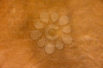 Orange paint leather background or texture