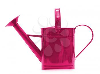  watering can isolated on a white background