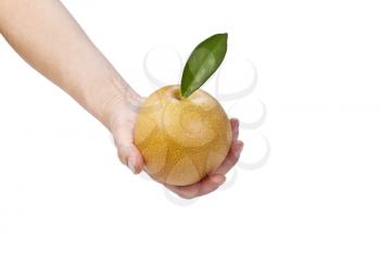 Single hand holding apple pear on white background