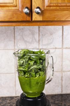fresh basil leafs being added into blender for pesto with kitchen counter top and cabinets in background