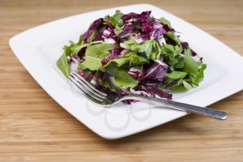 Horizontal photo of fresh salad consisting of arugula, radicchio and parsley with stainless steel fork on white square plate on natural bamboo wood