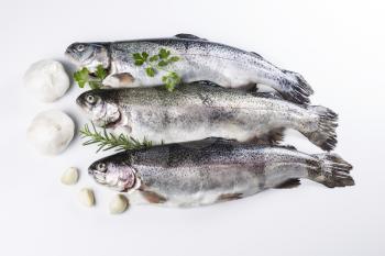 Fresh fish being prepared for dinner with herbs next to them on white background