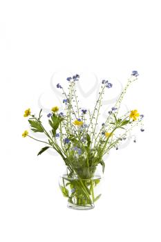 Seasonal wild flowers in glass vase on white background