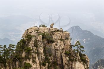Natural Monkey Stone Statue within Yellow Mountain National Park in China