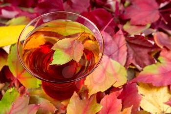Horizontal photo sparkling apple cider, single maple leaf in center of drink, with seasonal autumn leaves surrounding glass