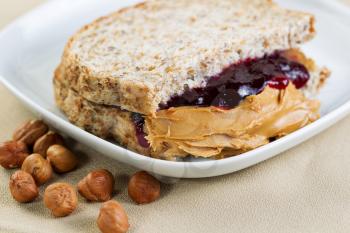 Closeup horizontal photo of a peanut butter and jelly sandwich cut in half, inside white plate with whole nuts lying on textured table cloth 