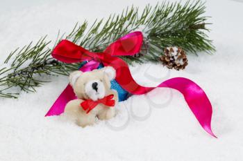 Closeup front view of small fur bear with snow covered fir branch, red ribbon and pine cones in background 