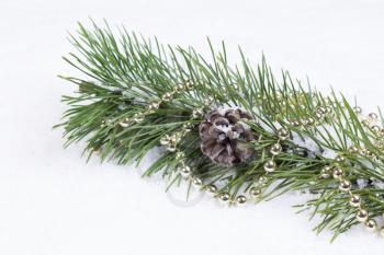 Closeup front view of snow covered fir branch with pine cone and string of golden balls