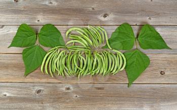 High angled view of freshly harvested green bush beans and leaves organized on rustic wooden boards.