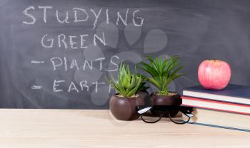 Classroom desktop displaying textbooks, plants, reading glasses, and apple with blackboard, writing about green topics, in background. Selective focus on front part of desk objects.