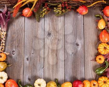 Overhead view of seasonal autumn gourd decorations, complete borders, on rustic wooden boards. 