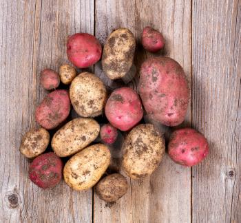 Garden potatoes with soil and roots on rustic wooden boards