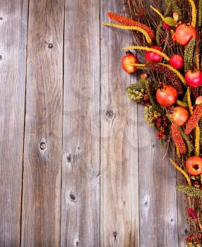 Overhead view of autumn decorations on rustic wooden boards. 