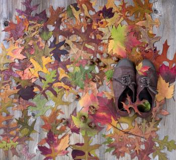 Autumn foliage with comfortable shoes on rustic wood. 