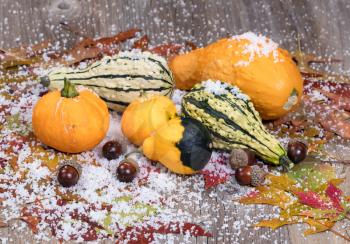 Close up view of seasonal gourds with autumn leaves, acorns and snow on rustic wooden boards. 