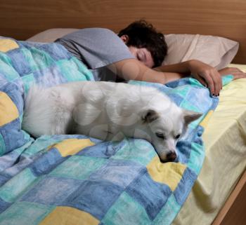 Family dog sleeping in bed with teen girl in background 
