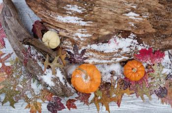 Snowy seasonal Autumn decorations with driftwood and leaves on rustic white wooden boards 