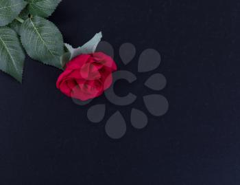Overhead view of a single red rose on dark stone background