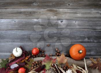 Thanksgiving Pumpkin with acorns and corn on burlap cloth forming border on weathered wood  