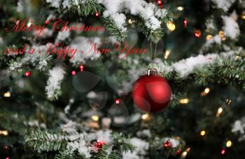 Christmas ornament with snowy fir branches and glowing lights. Winter decoration background with text message