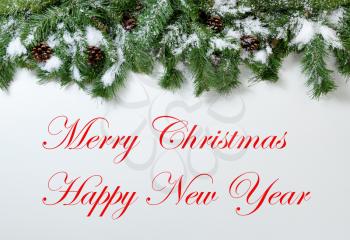 Snowy Christmas tree branches and pinecones on white background with holiday text message 
