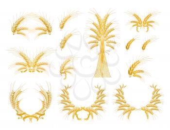 Set of Design Elements with Wheat, vector