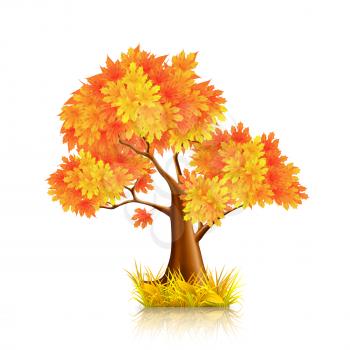 Red Tree, vector