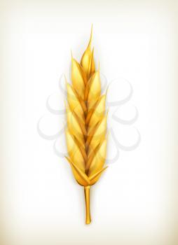 Wheat, vector icon
