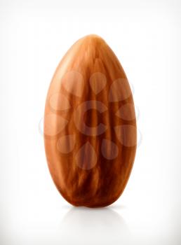Almond, vector icon