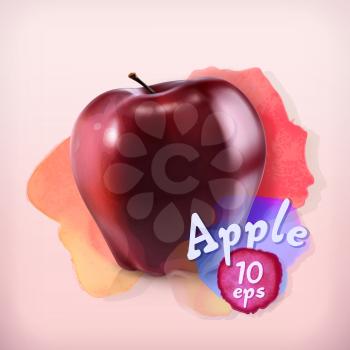 Apple fruit, watercolor background, vector illustration