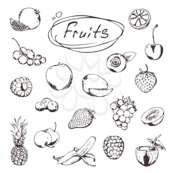 Fruits and berries, sketches of icons vector set