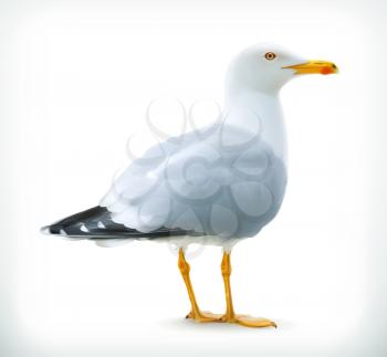 Sea gull, vector icon