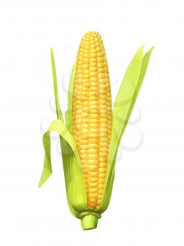 Ripe corn ear, vector illustration