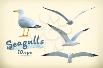 Sea gulls vector icon set