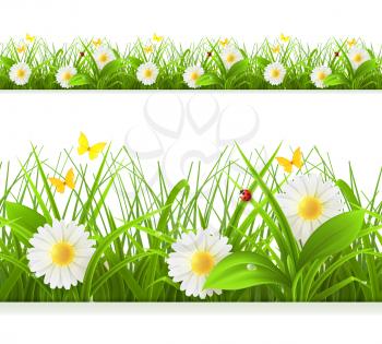 Spring green grass seamless border. Detailed vector illustration