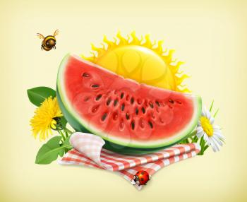 Summer, time for a picnic, watermelon, nature, outdoor recreation, a tablecloth and sun behind, grass, flowers of camomile and dandelion, vector illustration showing the summertime